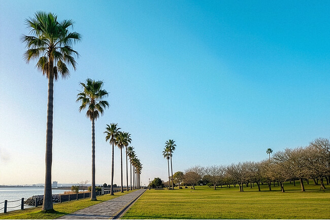 長崎空港すぐ!大村湾を望む芝生の上に新フェス誕生。音楽フェス「OMURA BAY BEAT 2026」初開催決定 | 鹿児島・九州プレスリリース | 生活情報 | くらし 長崎空港すぐ!大村湾を望む芝生の上に新フェス誕生。音楽フェス「OMURA BAY BEAT 2026」初開催決定 | 鹿児島・九州プレスリリース | 生活情報 | くらし