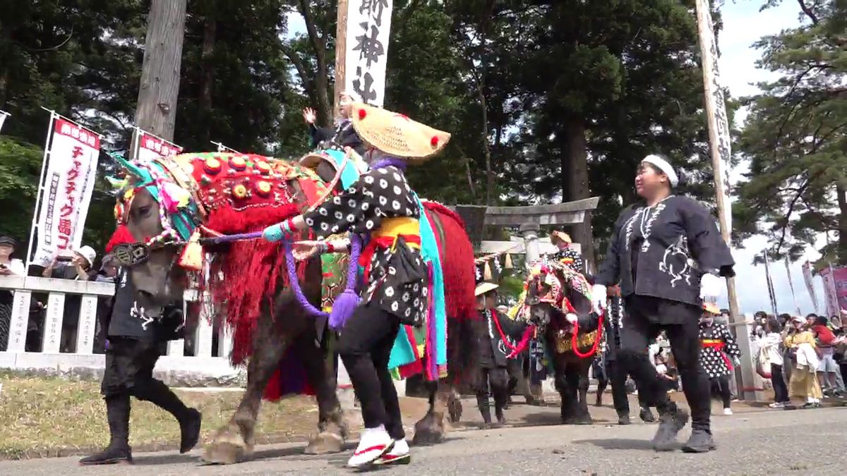 【初夏の風物詩】国無形民俗文化財「チャグチャグ馬コ」 華やかな装束 約60頭が行進 岩手県