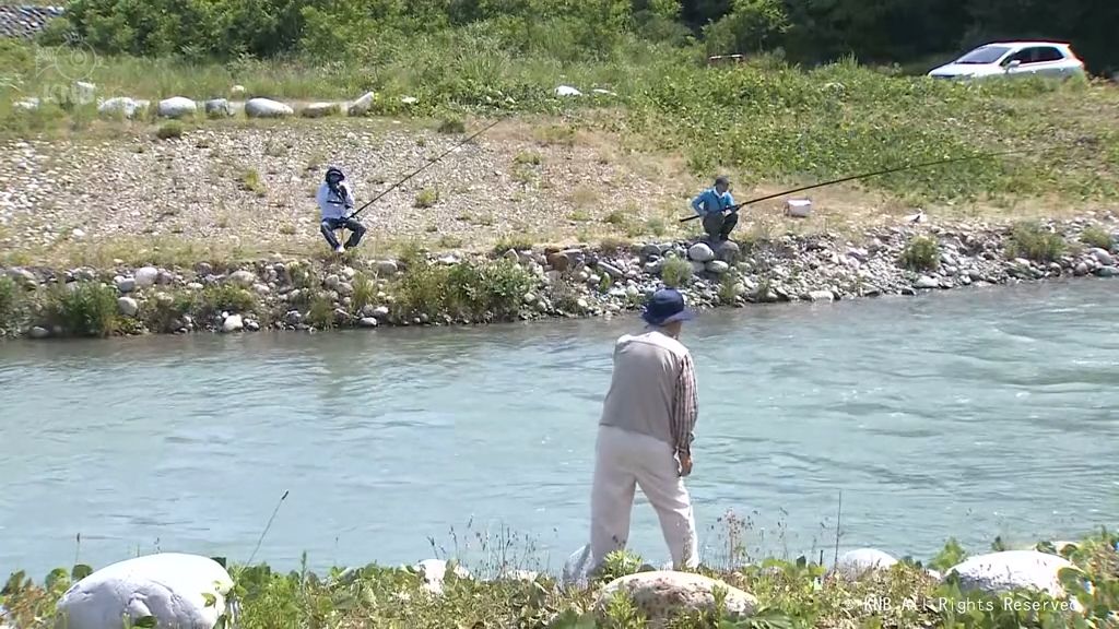 黒部川や庄川でアユのさお釣り解禁 富山県