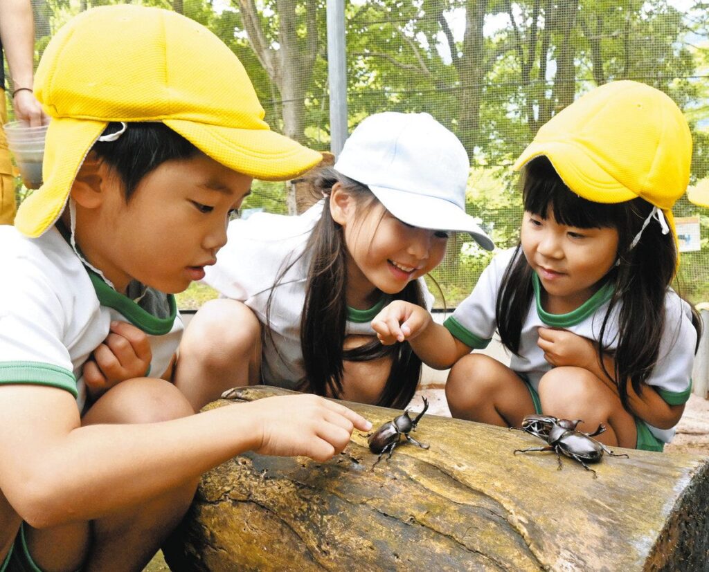 カブトの森 探そう触ろう　県昆虫館にオープン：北陸中日新聞Web