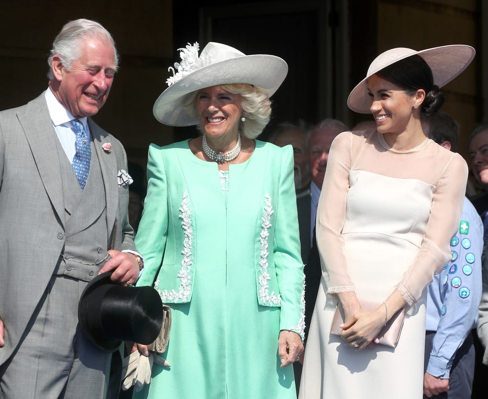 the prince of wales' 70th birthday patronage celebration