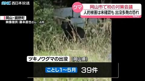 クマの出没「岡山県でも多発の恐れ」岡山市で対策会議