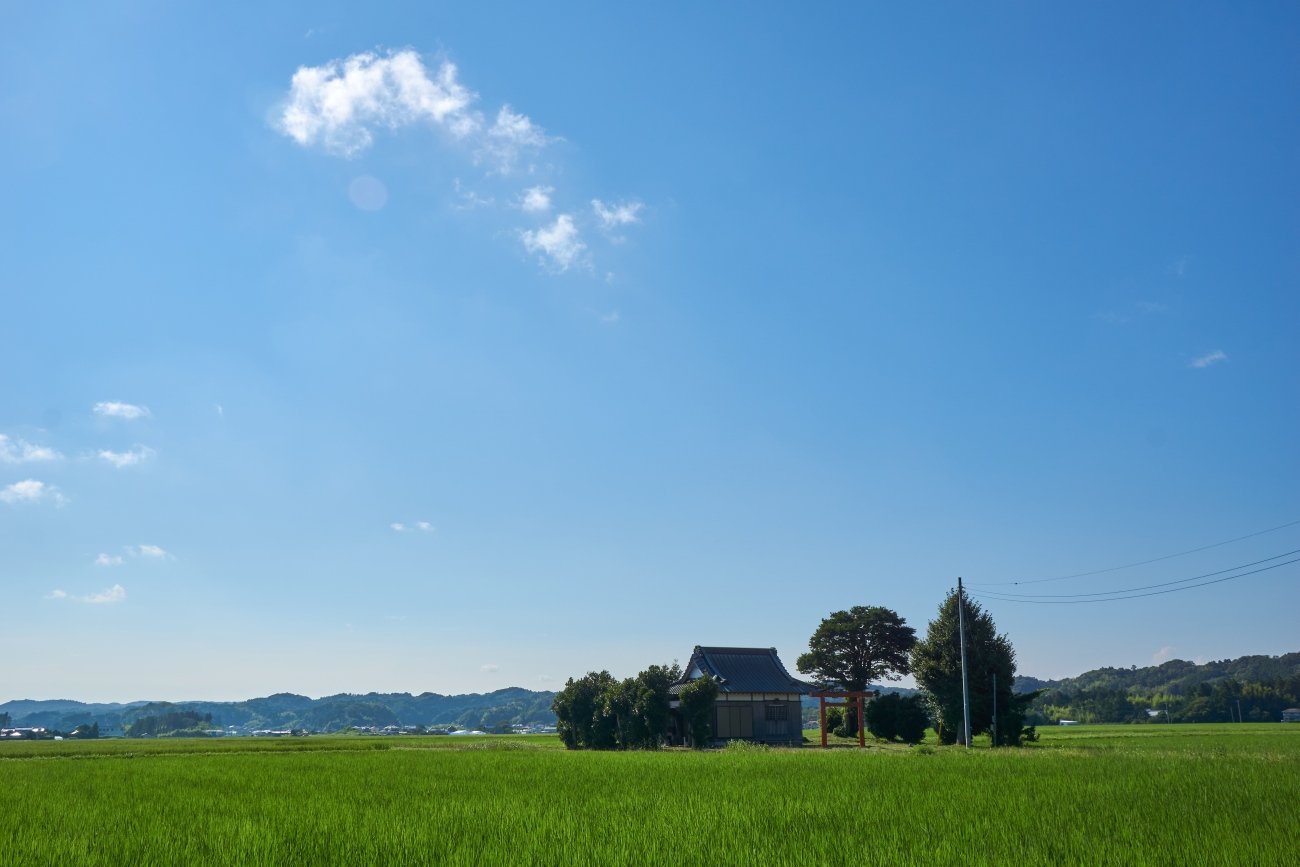 東京から1時間圏なのに別世界、食通が千葉へ向かう驚きの理由とは