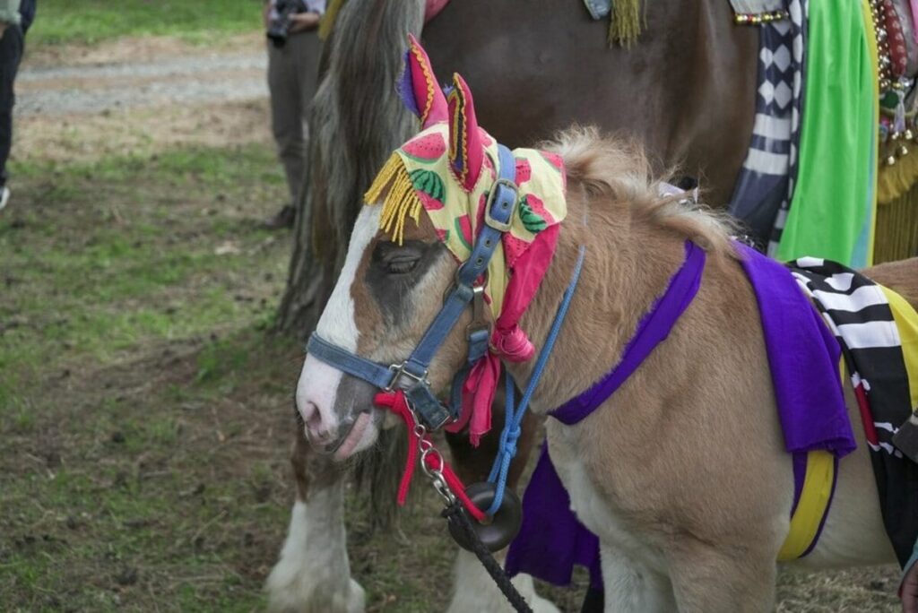 岩手県のお祭りをモチーフにした最中を購入　思わず目を引く形に「お土産にぴったり」「最中苦手でも食べられる」 Xで話題の岩手県の銘菓を紹介 | LIMO | くらしとお金の経済メディア