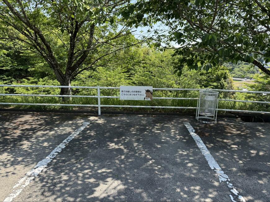 投稿の画像