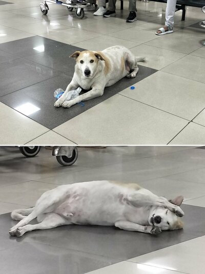 投稿の画像