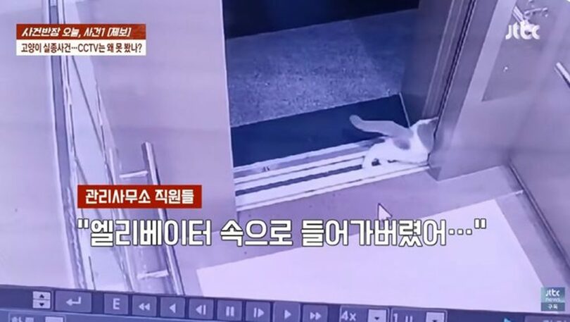 JTBC「事件班長」放送画面キャプチャー(c)NEWSIS