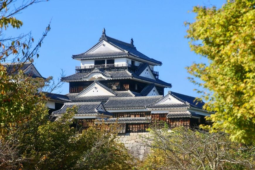 愛媛県で目撃された「正岡子規の肖像」のデザインに注目集まる 横を向く姿が有効活用された状態に「こういうとこ、好き」