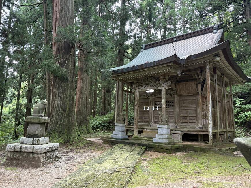 【新潟県】狛犬のような猫の像　「鋭い目つきのユニークな石像」が設置された神社に注目集まる