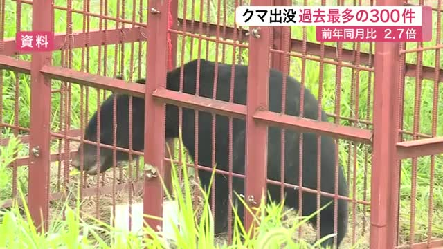 宮城県内の５月クマ目撃が過去最多３００件 去年の２.７倍に急増　仙台でも緊急銃猟