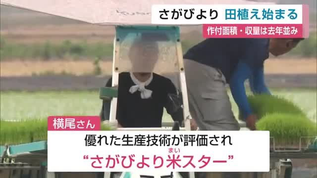 16年連続「特A」のさがびより 田植え始まる 収穫は10月予定【佐賀県】