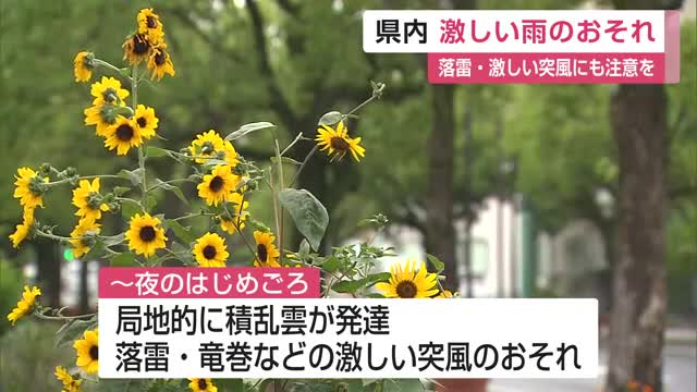 20日の県内 激しい雨のおそれ　落雷や突風などにも注意を【佐賀県】