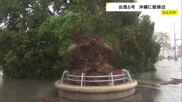【台風6号最接近】最大瞬間風速40.6m 沖縄・うるま市で6月観測史上最大に 県内で少なくとも6人けが 各地で街路樹倒れる