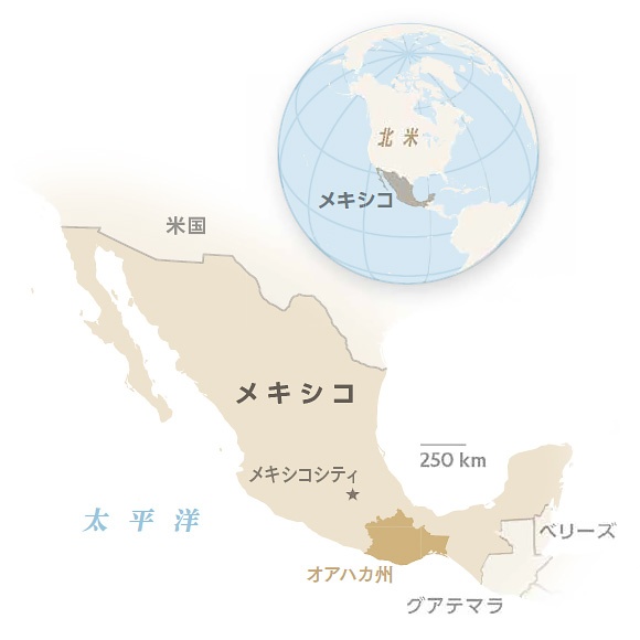NGM MAPS