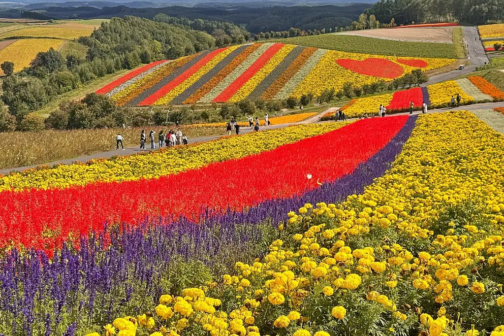 一度は走りたい！　北海道ツーリングでおすすめの絶景スポット5選 | MOBY [モビー]