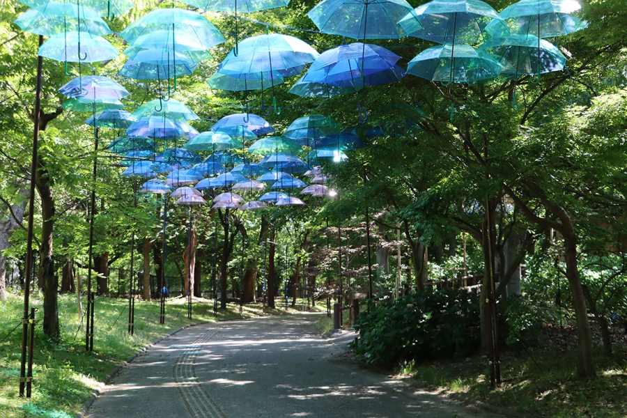 『長居植物園 あじさいフェア』に設置された「アンブレラスカイ」