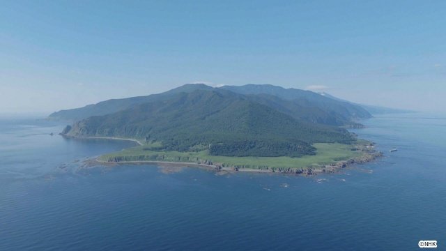 北海道道スペシャル「オホーツク異変～生命の楽園に何が～」再放送！　知床半島の今を見つめる
