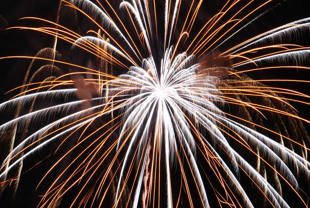 pic_bingokokufu-hanabi202301.jpg