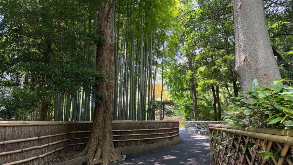 東京23区にあった古都のような”竹林の小径”!隠れた名刹「観泉寺」は苔も美しい(oto) – エキスパート – Yahoo!ニュース 東京23区にあった古都のような”竹林の小径”!隠れた名刹「観泉寺」は苔も美しい(oto) - エキスパート - Yahoo!ニュース