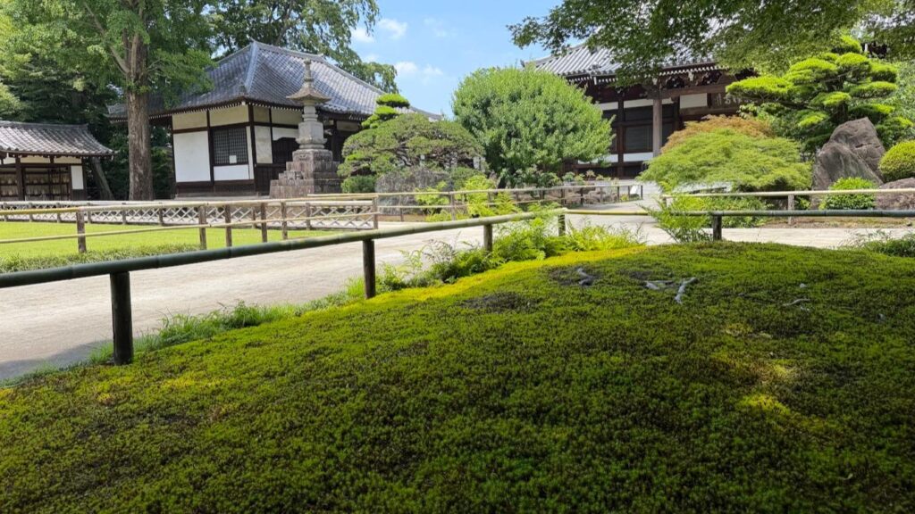 苔がいっそう美しい季節！東京23区でしっとりと”苔”を楽しめるスポット4選。おでかけライター厳選（oto） - エキスパート - Yahoo!ニュース
