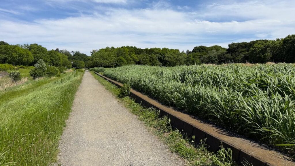 東京とは思えない”大自然”が味わえる公園!視界いっぱいに草地や木々が広がる風景でリフレッシュ(oto) – エキスパート – Yahoo!ニュース 東京とは思えない”大自然”が味わえる公園!視界いっぱいに草地や木々が広がる風景でリフレッシュ(oto) - エキスパート - Yahoo!ニュース
