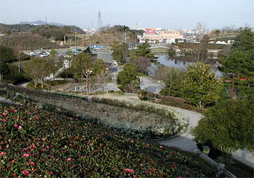 市制50年記念公園 市民の森・フラワーパークの写真