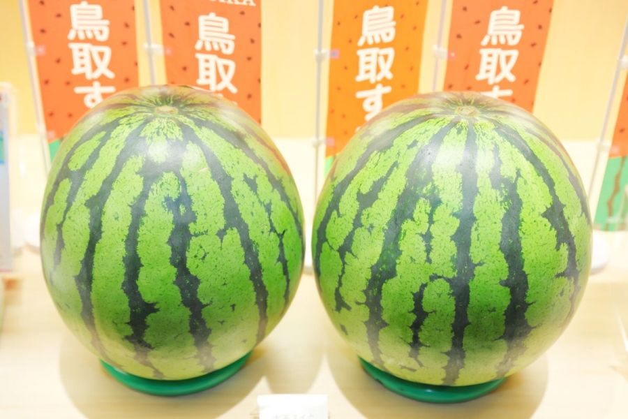 「出雲しめなわやKITTE大阪店 食パラダイス鳥取県コーナー」
