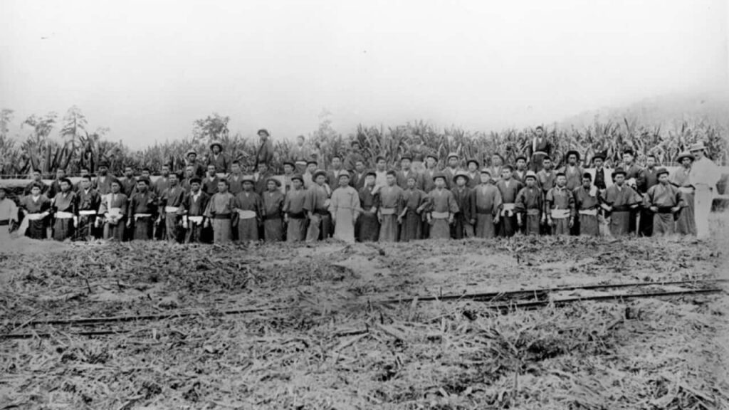 一度途切れたオーストラリア日系移民の歴史、戦前の姿残す写真展 | SBS Japanese 一度途切れたオーストラリア日系移民の歴史、戦前の姿残す写真展 | SBS Japanese