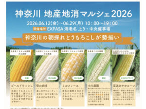 【神奈川県海老名市】神奈川県産の朝採れトウモロコシが一堂に集結！「神奈川 地産地消マルシェ 2026」開催 - STRAIGHT PRESS[ストレートプレス]