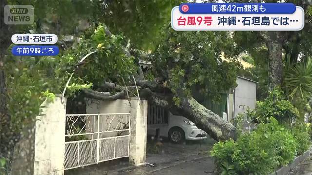 大型で強い台風9号 風速42m観測も　沖縄・石垣島では – Quebee キュエビー