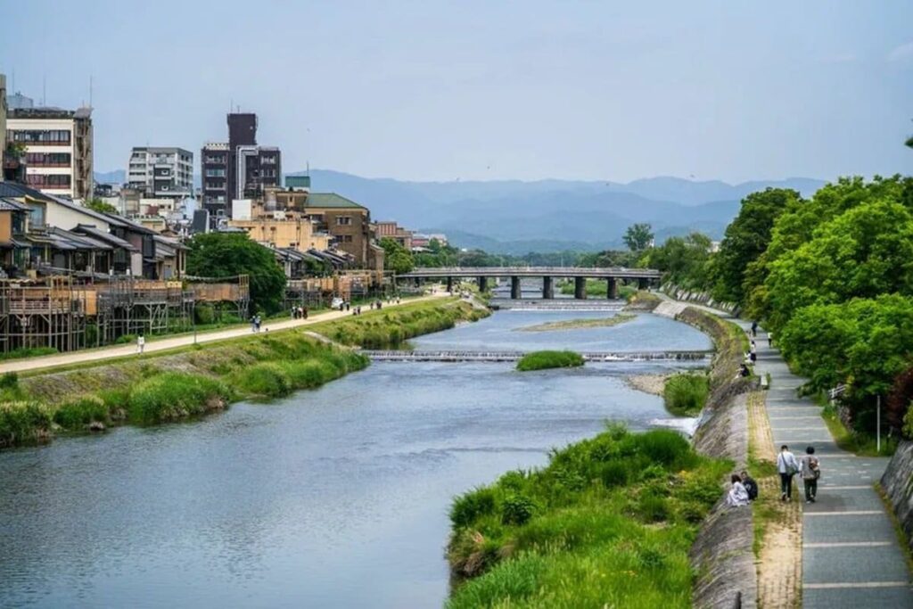 京都・鴨川で鹿と遭遇 街中を歩く意外な光景に「もしかして奈良から?」「街は危ない」 | LIMO | くらしとお金の経済メディア 京都・鴨川で鹿と遭遇 街中を歩く意外な光景に「もしかして奈良から?」「街は危ない」 | LIMO | くらしとお金の経済メディア