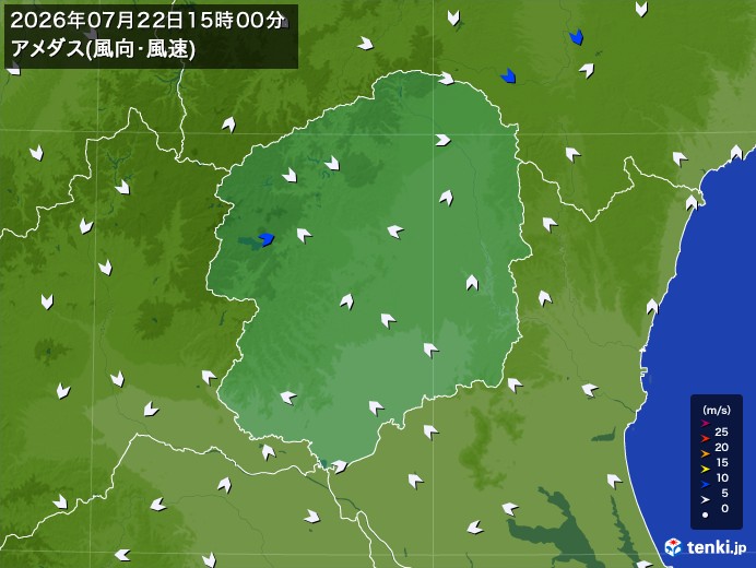 栃木県の過去のアメダス実況(2026年07月22日)(風向・風速) – 日本気象協会 tenki.jp 栃木県の過去のアメダス実況(2026年07月22日)(風向・風速) - 日本気象協会 tenki.jp