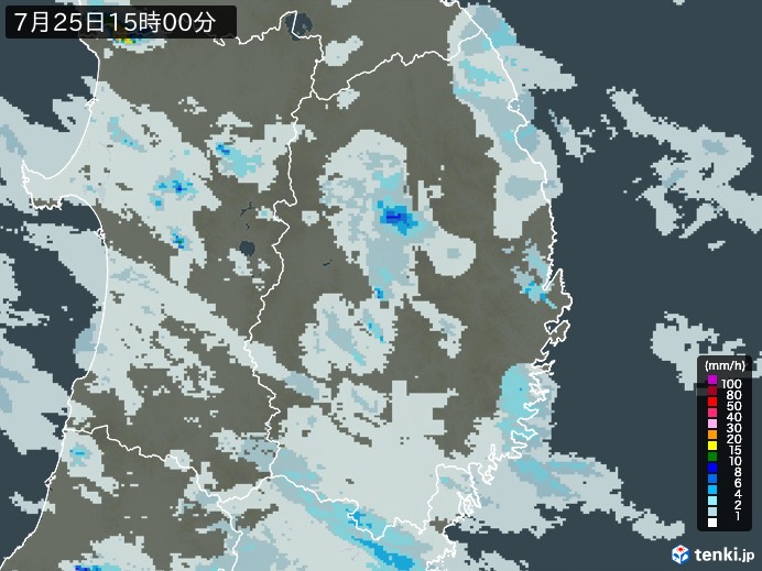 岩手県の過去の雨雲レーダー(2026年07月25日) – 日本気象協会 tenki.jp 岩手県の雨雲レーダー(2026年07月25日)