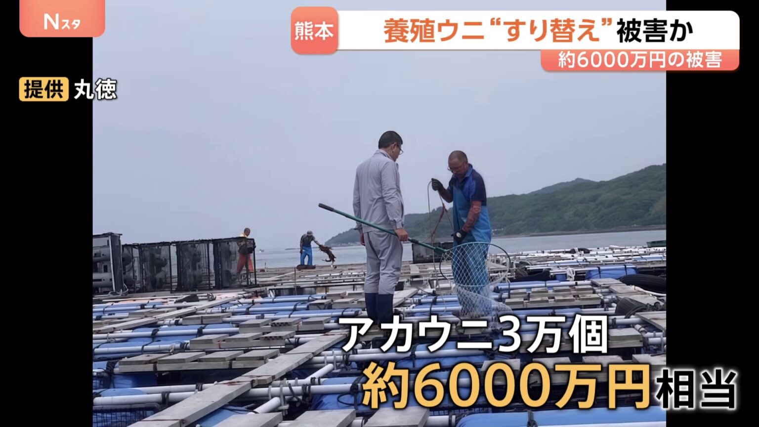 養殖ウニ“すり替え”で約6000万円の被害か アカウニ3万個分 海上保安部が窃盗事件とみて捜査 熊本・天草市(TBS NEWS DIG Powered by JNN) 養殖ウニ“すり替え”で約6000万円の被害か アカウニ3万個分 海上保安部が窃盗事件とみて捜査 熊本・天草市(TBS NEWS DIG Powered by JNN)
