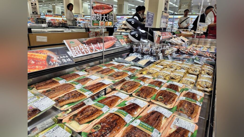 ２６日は土用の丑、今夏のウナギは「値下げ」「増量」路線…稚魚豊漁で手頃に「１人で１匹丸ごと楽しんで」 - 読売新聞