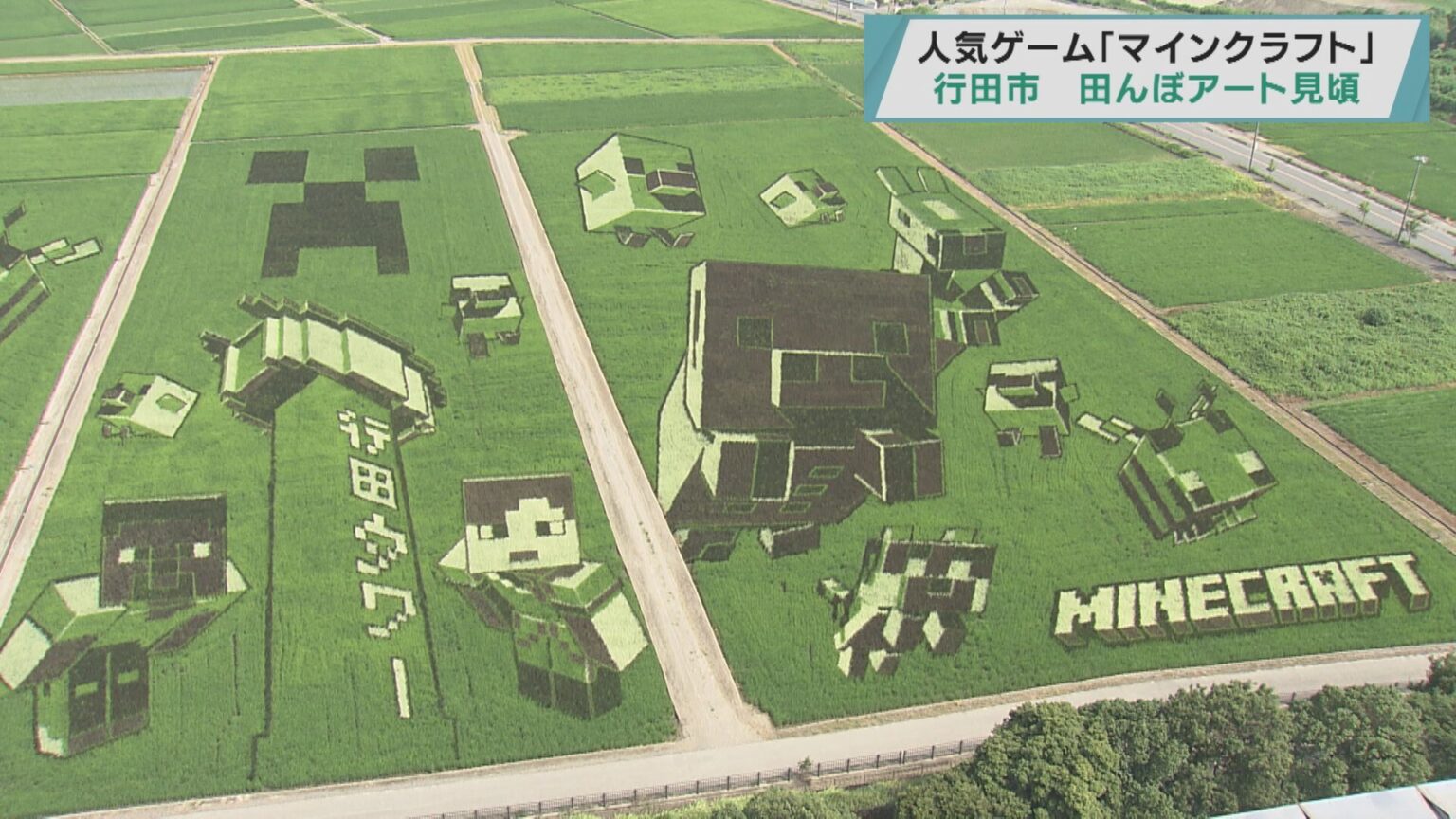「マインクラフト」 行田市 田んぼアート見頃/埼玉県(テレ玉) – Yahoo!ニュース 「マインクラフト」 行田市 田んぼアート見頃/埼玉県(テレ玉) - Yahoo!ニュース