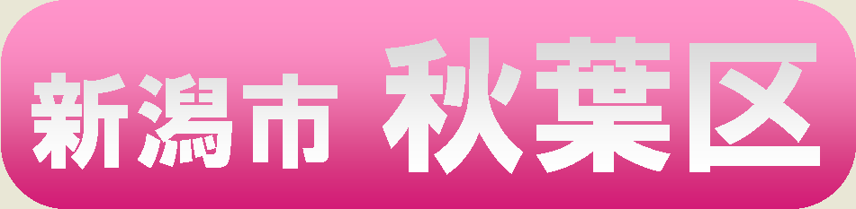 新潟市秋葉区