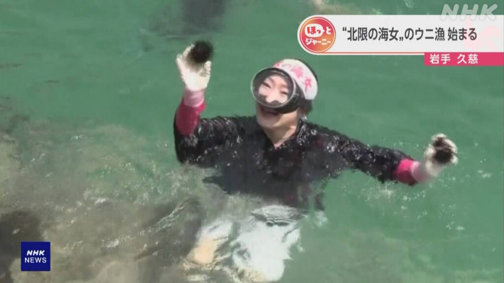 岩手県　海に入ってウニをとる「海女」　観光に来た人に見せる | NHKやさしいことばニュース