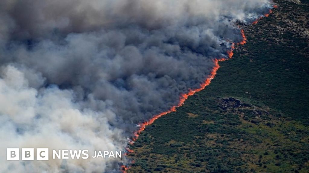 フランスとスペインで山火事広がる、22万人以上が避難　スペインは緊急事態宣言 - BBC