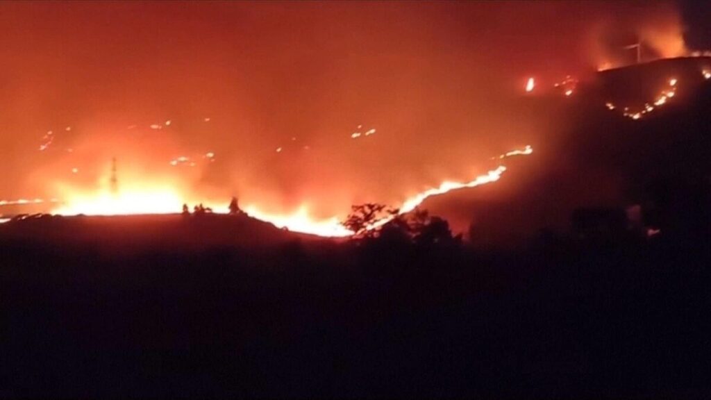 イタリア各地で相次ぐ山火事 猫の尻尾に可燃性の布を結び火を広げた可能性 (2026年7月25日掲載) – ライブドアニュース