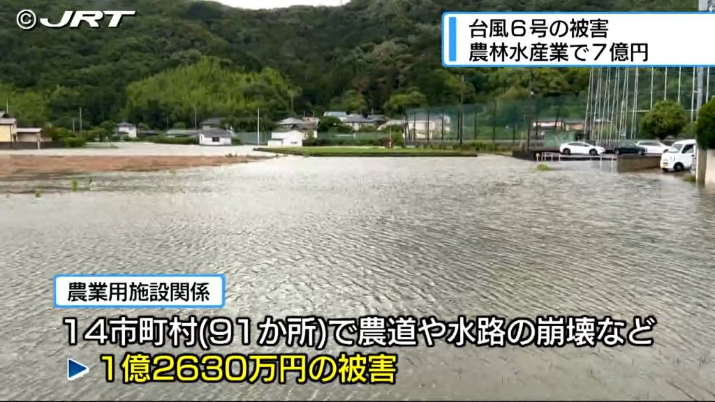 台風6号農林水産業被害状況【徳島】(2026年7月18日掲載)|JRT NEWS NNN 共有
