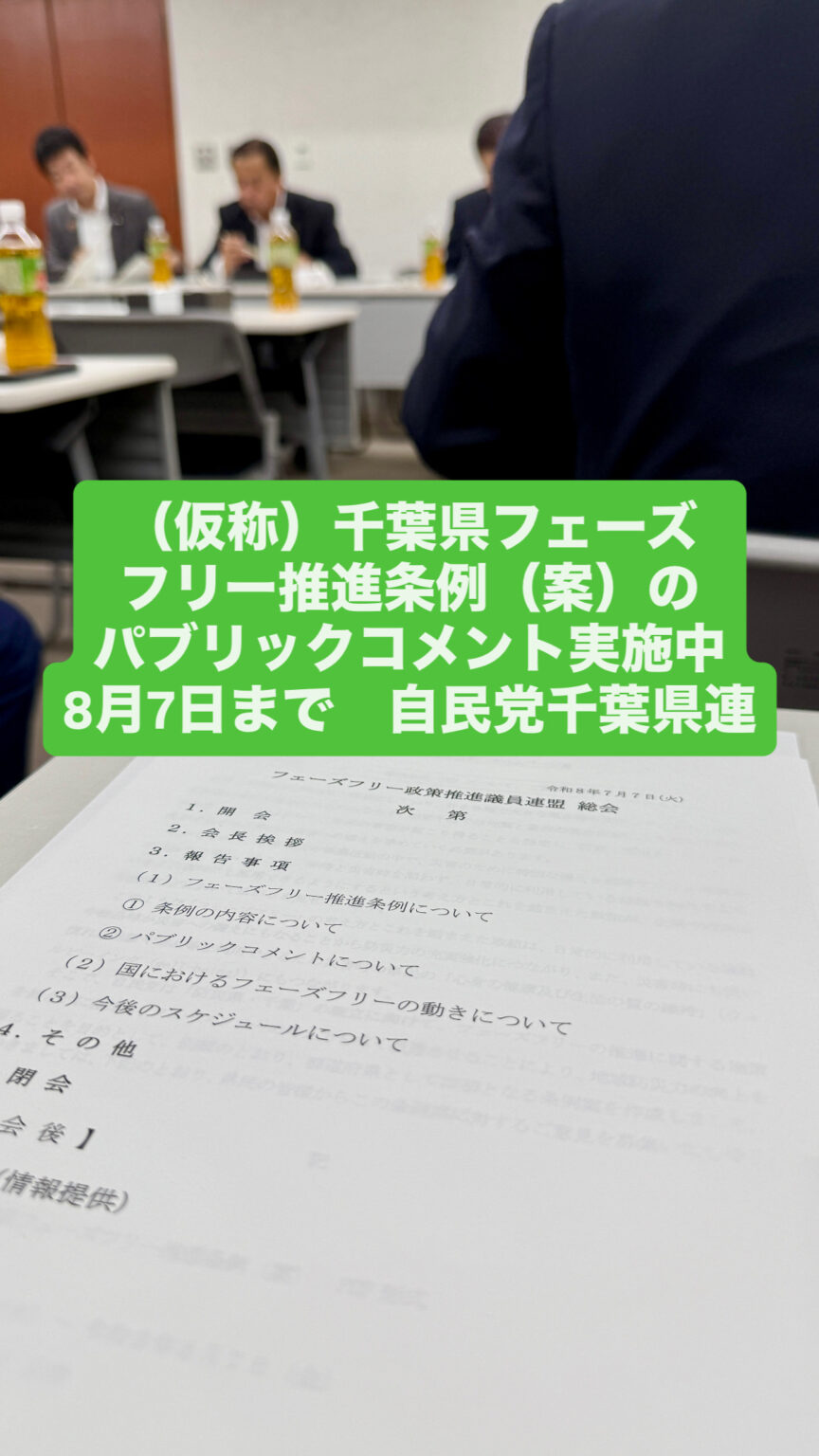 （仮称）千葉県フェーズフリー推進条例（案）のパブリックコメントが開始　8月7日まで | 千葉県議会議員（香取市・神崎町・多古町選出） かとう裕太 公式サイト