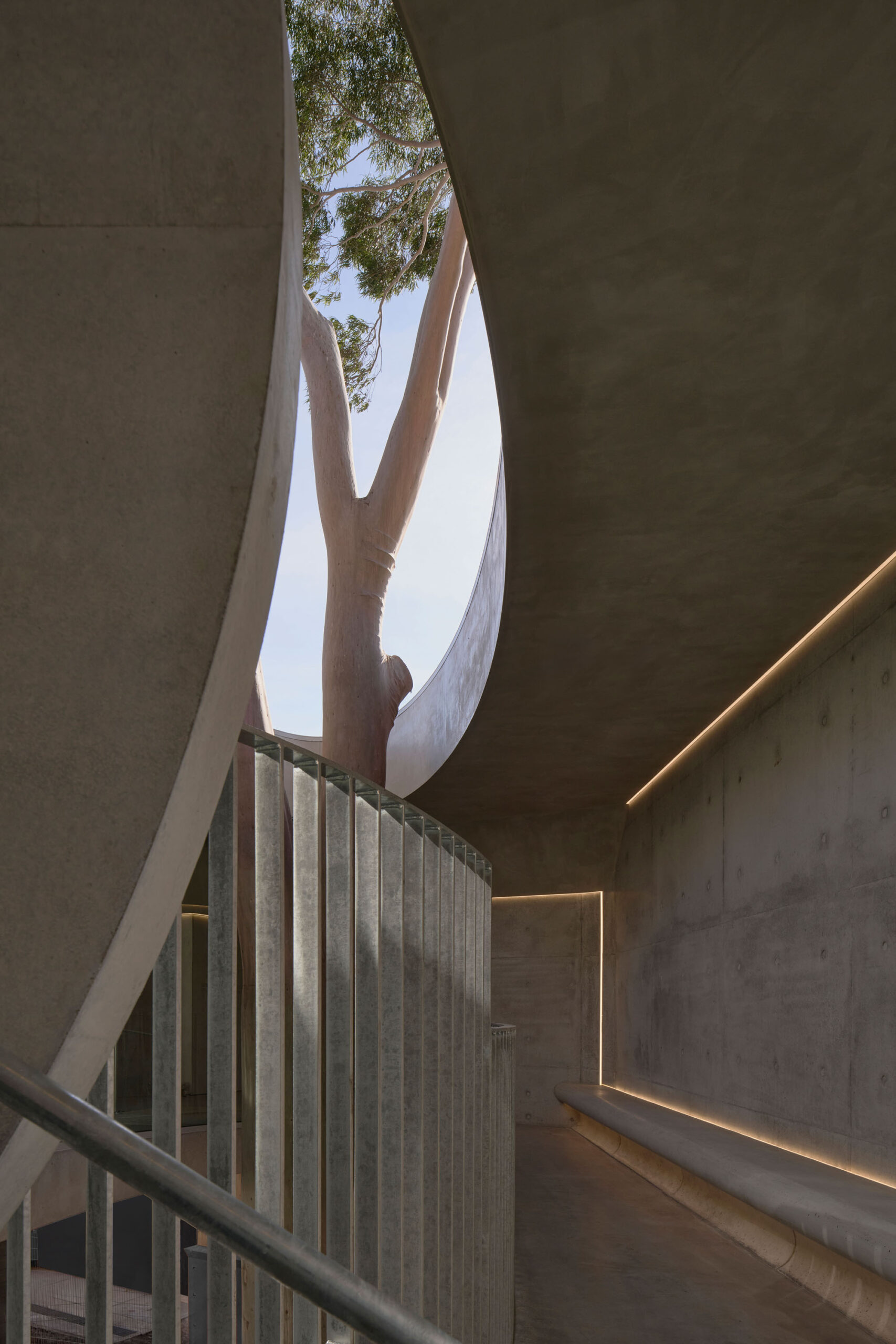 〈マーセリン・フライオーバー・ギャラリー(Marcellin Flyover Gallery)〉ファレル・レイ・アーキテクツ(Farrell Wray Architects)