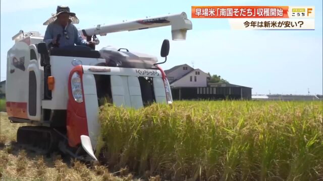 早場米「南国そだち」の収穫開始 今年は安く買える見通しも農家は「資材高騰」「収入減」のダブルパンチ « 高知のニュース – 高知さんさんテレビ 早場米「南国そだち」の収穫開始 今年は安く買える見通しも農家は「資材高騰」「収入減」のダブルパンチ « 高知のニュース - 高知さんさんテレビ