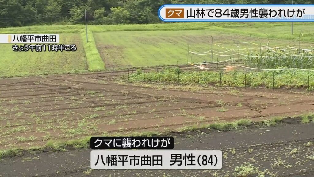 【クマ被害】山林で作業中クマに襲われる 八幡平市の84歳男性けが 岩手県内の人身被害は今年度9人に (2026年7月24日掲載)|TVI NEWS NNN 共有