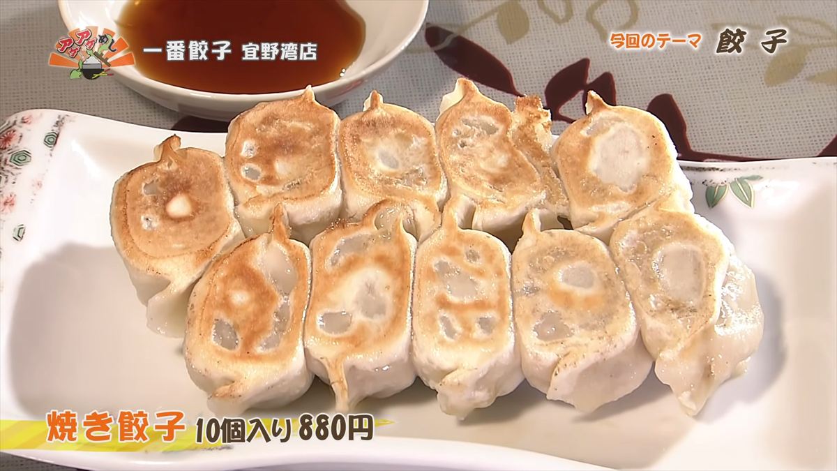 一番餃子 宜野湾店(宜野湾市真栄原)焼き餃子(10個入り 880円・税込)|OTV アゲアゲめし 2026年4月17日放送