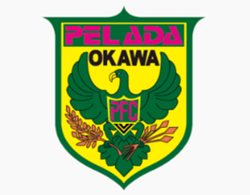 ペラーダ大川FC 新メンバー募集!体験練習随時 2027年度 福岡県 | Green Card ニュース ペラーダ大川FC 新メンバー募集!体験練習随時 2027年度 福岡県 | Green Card ニュース