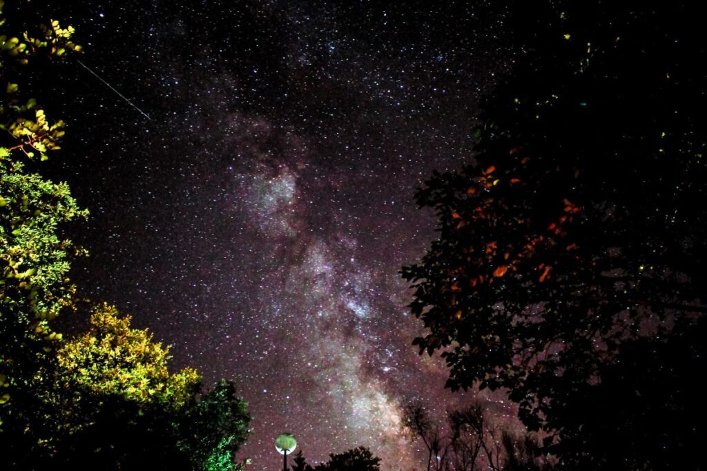 「天文観光」でスペインの人気が急上昇、星空観察に最適な旅行先5選 | Forbes JAPAN 公式サイト(フォーブス ジャパン) 木々に囲まれた天の川(Miguel Angel Chamorro Moreno from Jerez de la Frontera, España, Public domain, via Wikimedia Commons)