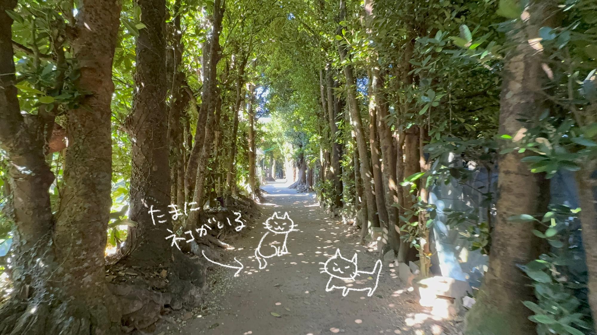 夏は蚊が多いので、しっかり虫除け対策を！