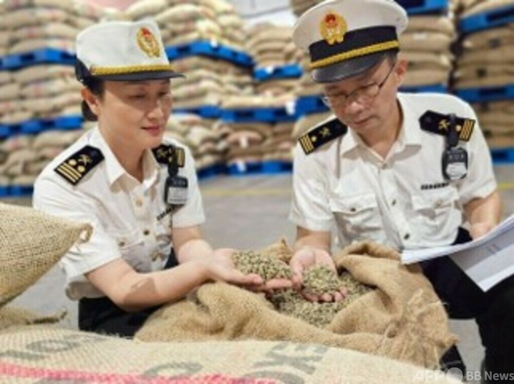 中国はアフリカの国交樹立国向け コーヒー豆の検疫解禁を全面適用 写真1枚 国際ニュース:AFPBB News 中国はアフリカの国交樹立国向け コーヒー豆の検疫解禁を全面適用 写真1枚 国際ニュース:AFPBB News
